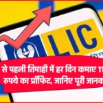 LIC से पहली तिमाही में हर दिन कमाए 116 करोड़ रुपये का प्रॉफिट, जानिए पूरी जानकारी