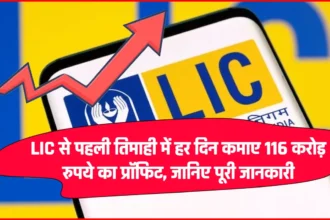 LIC से पहली तिमाही में हर दिन कमाए 116 करोड़ रुपये का प्रॉफिट, जानिए पूरी जानकारी
