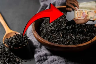 Tea Leaf Business Idea: चाय पत्ती का बिजनेस आइडिया, कम निवेश में करें लखपति बनने की शुरुआत