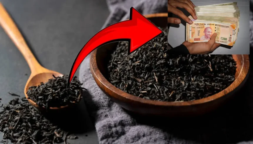 Tea Leaf Business Idea: चाय पत्ती का बिजनेस आइडिया, कम निवेश में करें लखपति बनने की शुरुआत