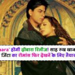 Veer Zaara Movie Re-release: 'Veer Zaara' होगी दोबारा रिलीज! शाह रुख खान और प्रीति जिंटा का रोमांस फिर देखने के लिए तैयार