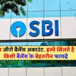 SBI का जीरो बैलेंस अकाउंट, इस्पे मिलते है बिना किसी बैलेंस के बेहतरीन फायदे